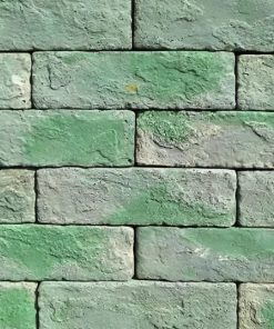 RT11